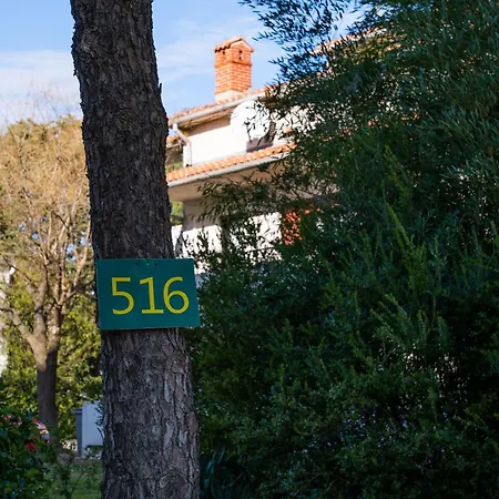 Apartmán 516