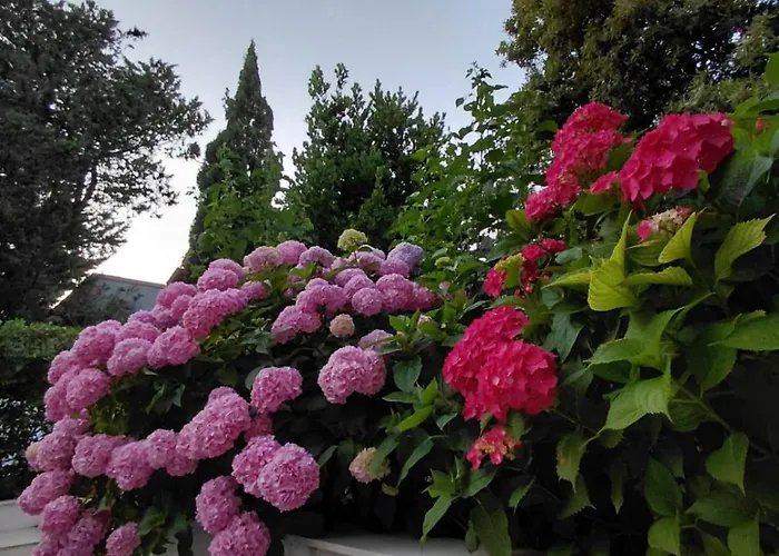 Διαμέρισμα 516 *